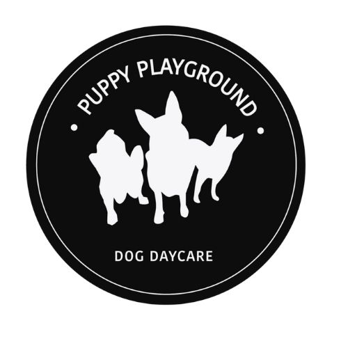Puppy Playground sydney logo